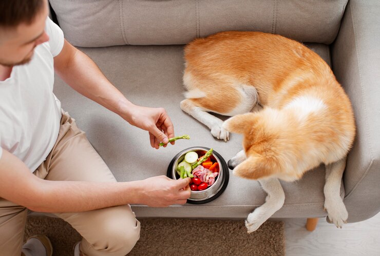 dog eating healthy food