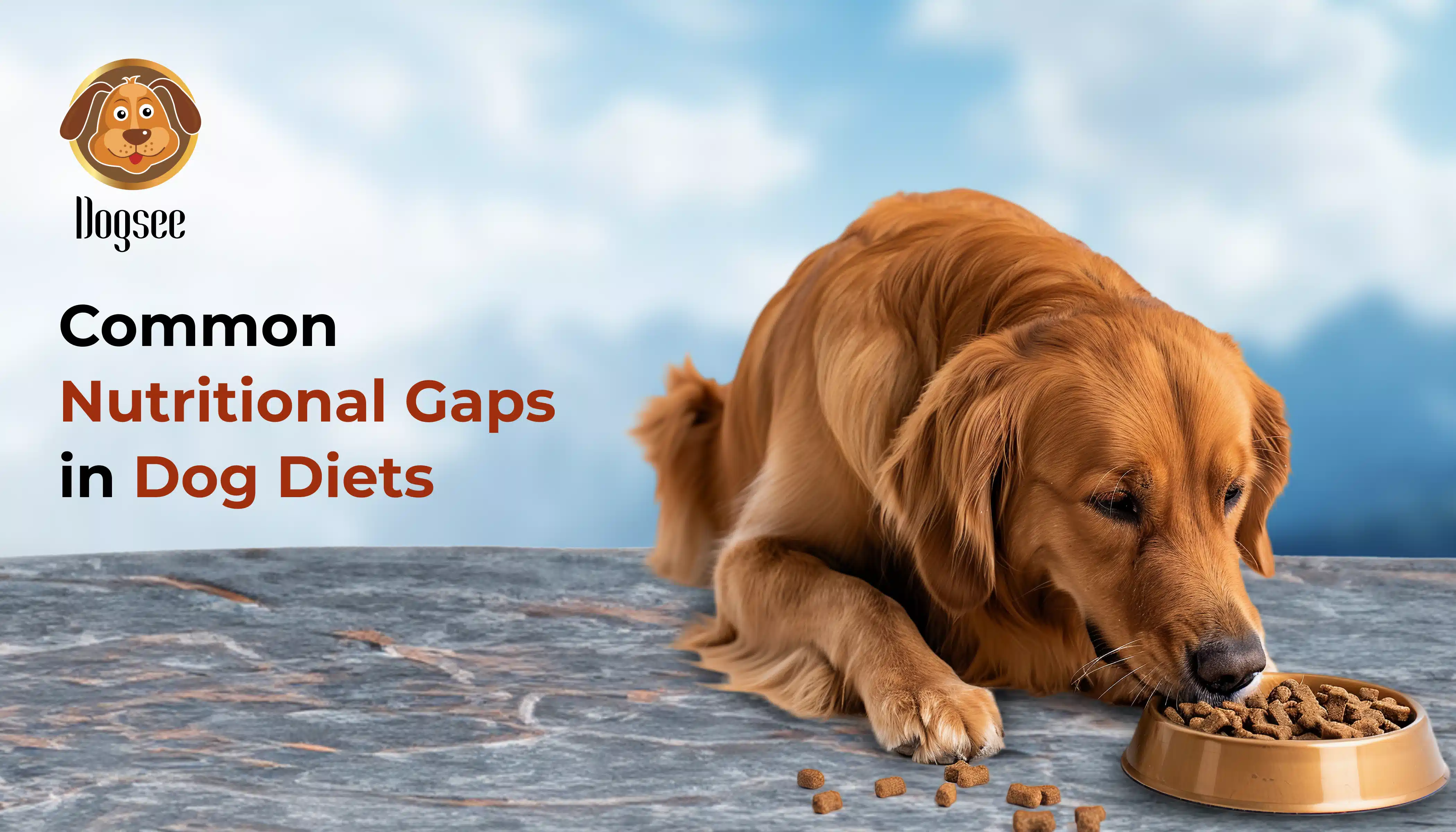 Common Nutritional Gaps in Dog Diets