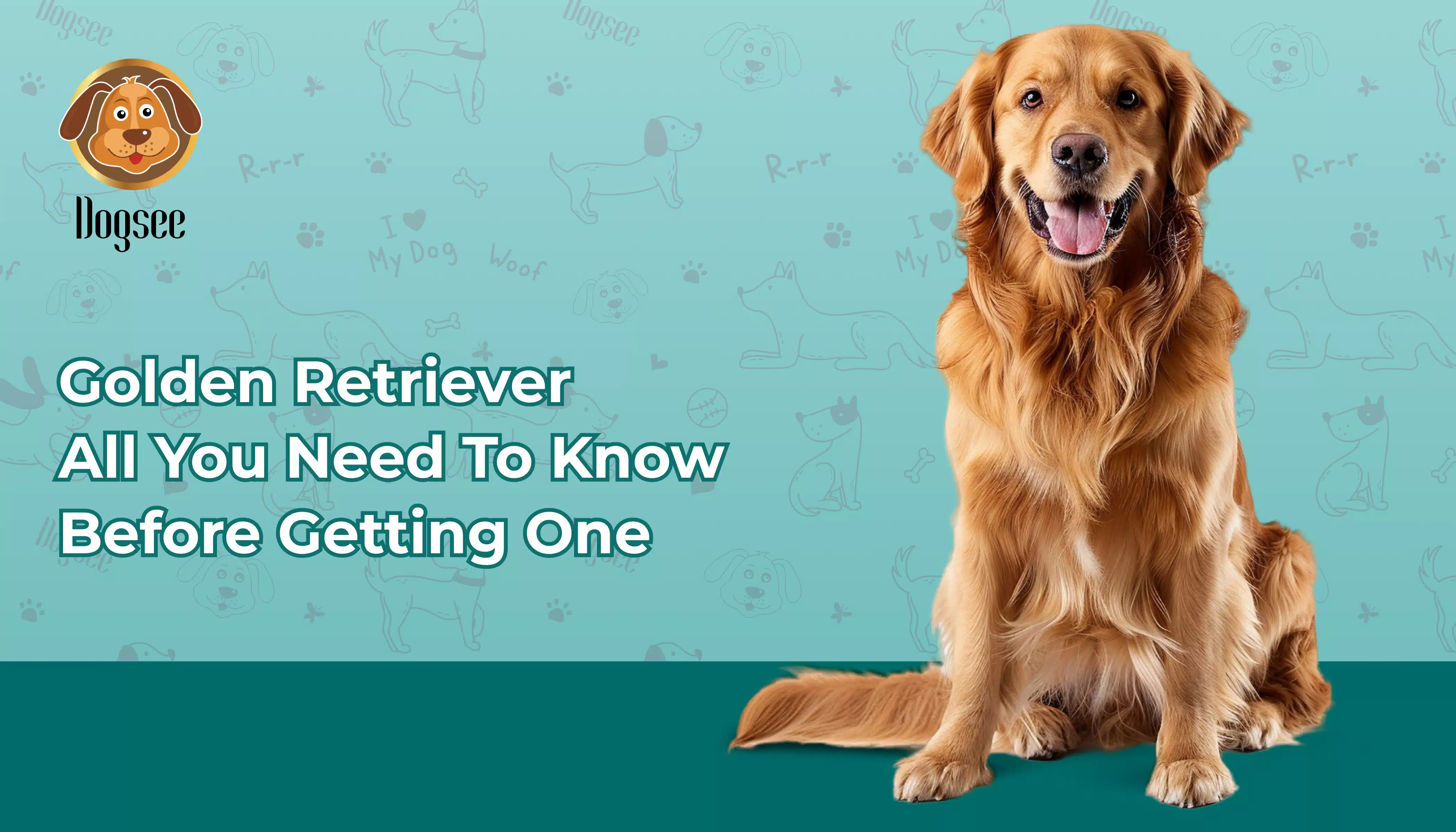 Golden Retriever Guide