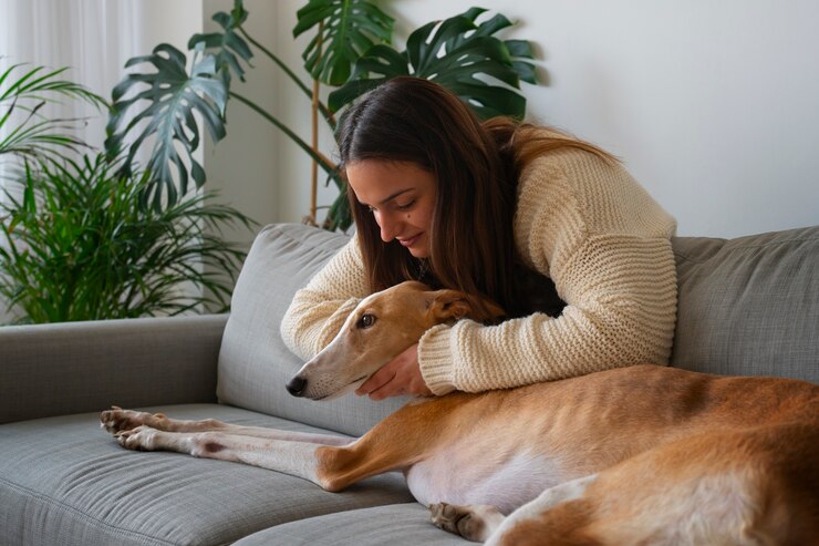 woman with greyhound dog