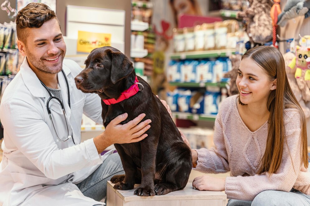 dog being checked by vet