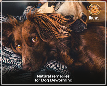 Natural Remedies for Deworming of Dogs