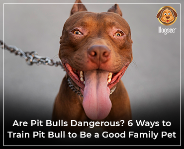 are pit bulls always dangerous